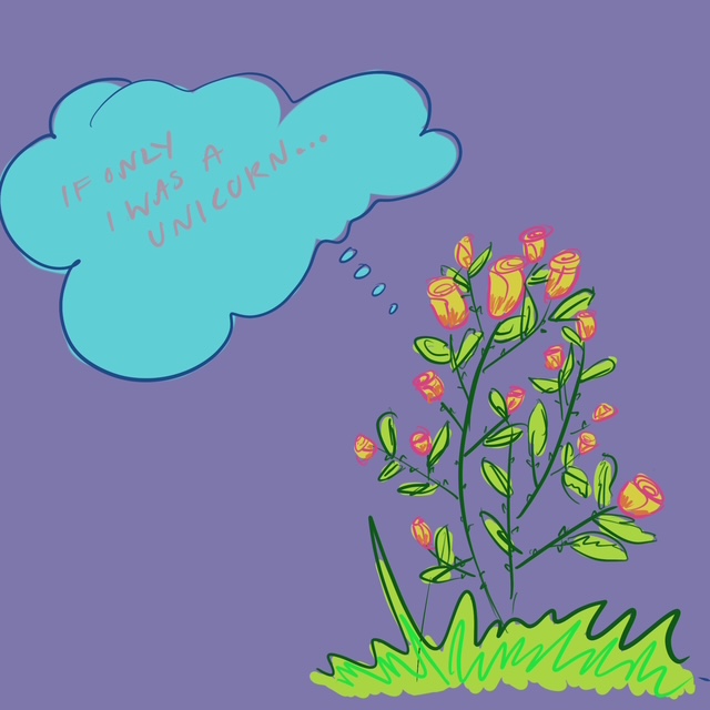 TIP: Unicorns Aren’t Real